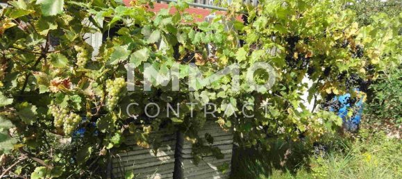 5 chambres Maison à Altenburg, Austria No. 259044 27