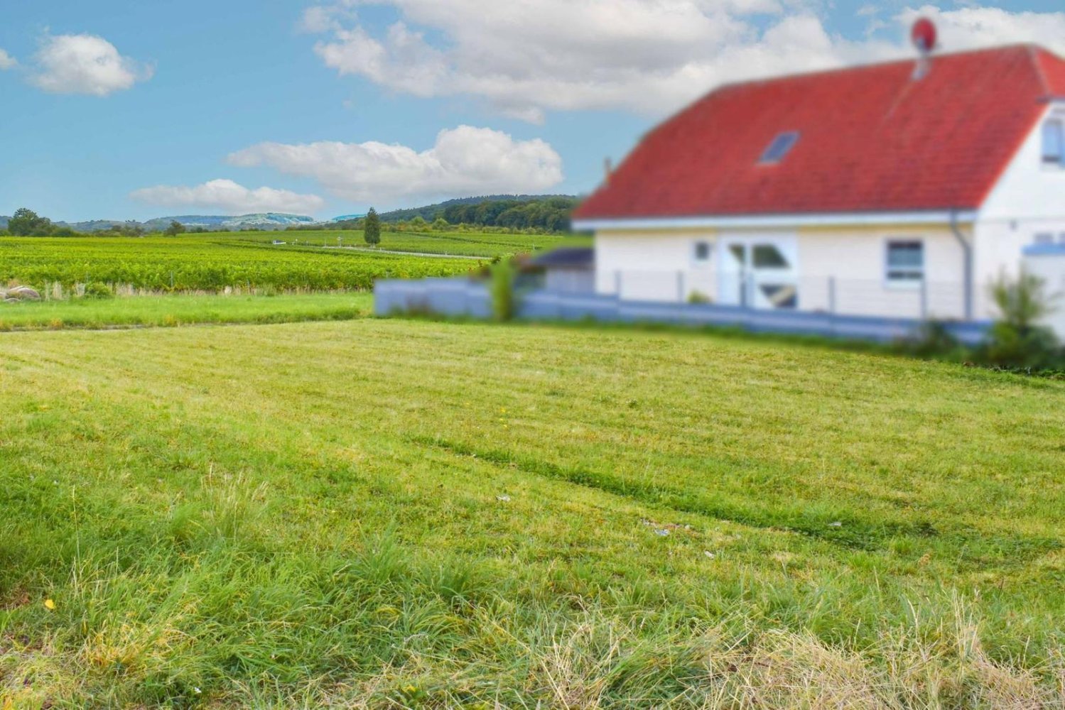  Land in Rhein-Neckar-Kreis, Germany No. 342691