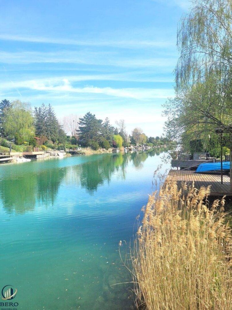 3-salle Bungalow à Gross-Enzersdorf, Austria No. 244318