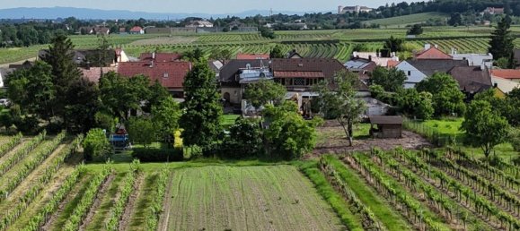 9 rooms Castles in Sooss, Austria No. 171543 26