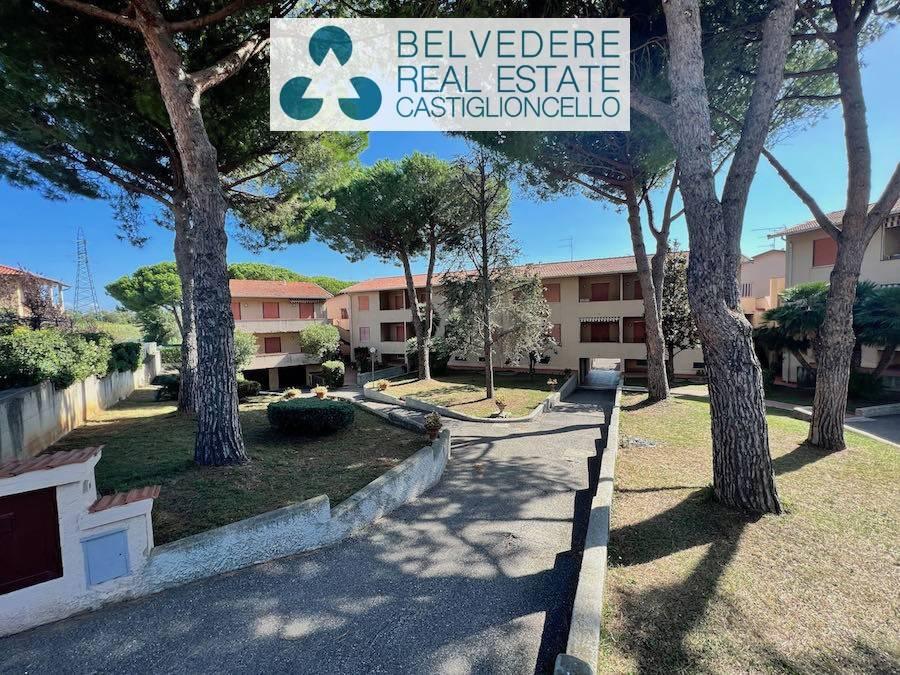 3 rooms Apartment in Rosignano Marittimo, Italy No. 164138