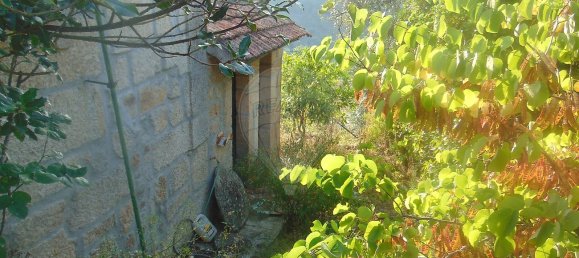 3 bedrooms House in Celorico da Beira, Portugal No. 29091 27