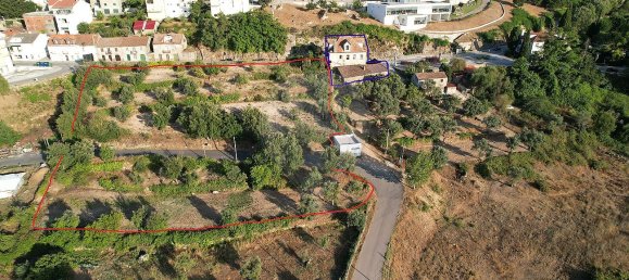 3 bedrooms House in Celorico da Beira, Portugal No. 29091 4