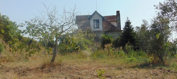 3 bedrooms House in Celorico da Beira, Portugal No. 29091 21