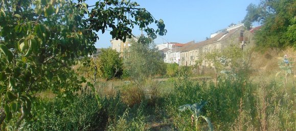 3 bedrooms House in Celorico da Beira, Portugal No. 29091 19