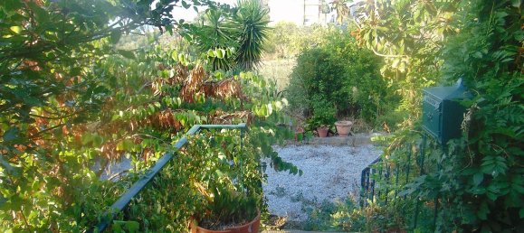 3 bedrooms House in Celorico da Beira, Portugal No. 29091 15