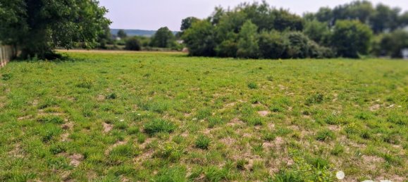 Grundstück in Saint-Vincent-sur-Oust, France 4889m², Nr. 323626 2