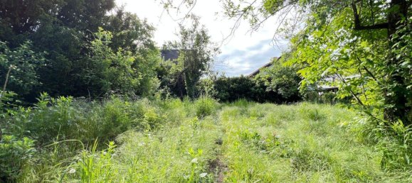 3-Zimmer Haus in Wien, Austria, Nr. 182811 7