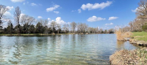 3-Zimmer Haus in Wien, Austria, Nr. 182811 9