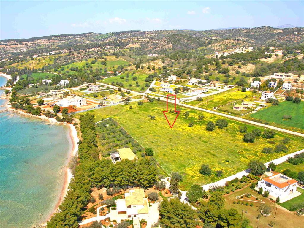 12500 m² hotel en venta en Kranidi, Ermionida, Argolis, Peloponnese, Peloponnese, Western Greece and the Ionian, Greece № 7228