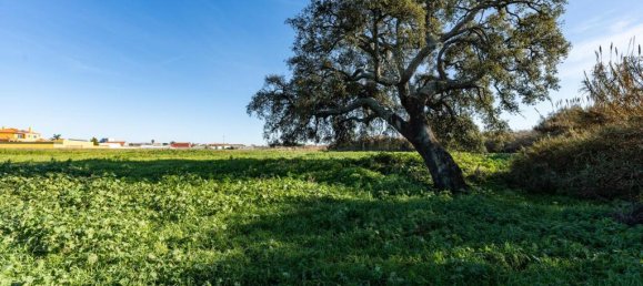 Terreno em Montijo, Portugal N.º 111534 15