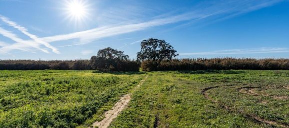 Terreno em Montijo, Portugal N.º 111534 7