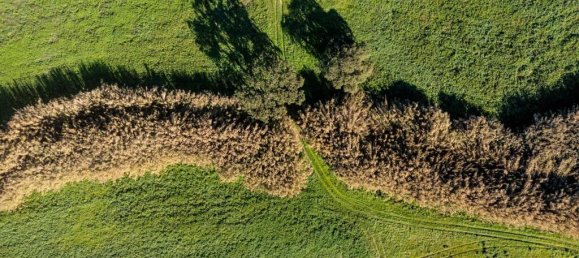 Terreno em Montijo, Portugal N.º 111534 28