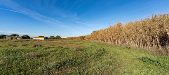 Terreno em Montijo, Portugal N.º 111534 10