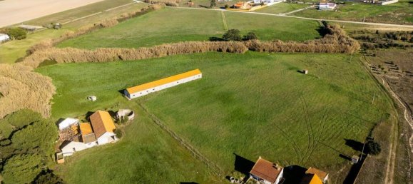 Terreno em Montijo, Portugal N.º 111534 25