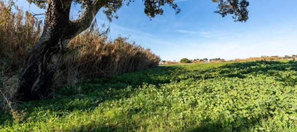 Terreno em Montijo, Portugal N.º 111534 14
