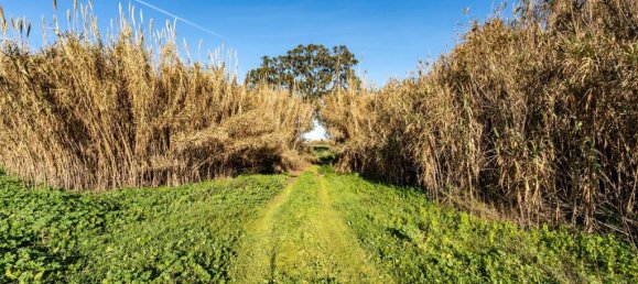 Terreno em Montijo, Portugal N.º 111534 13