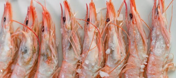 205m² Commercial property in Malaga, Spain No. 148950 4