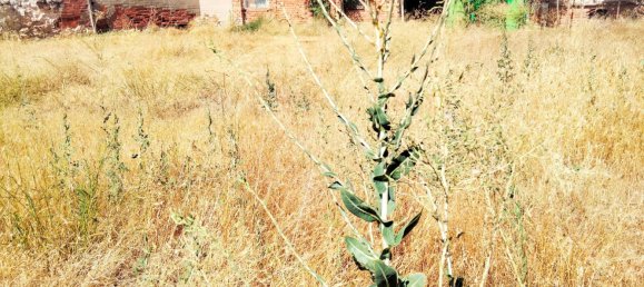 Casa de 5 dormitorios en Lillo, Spain No. 139632 20