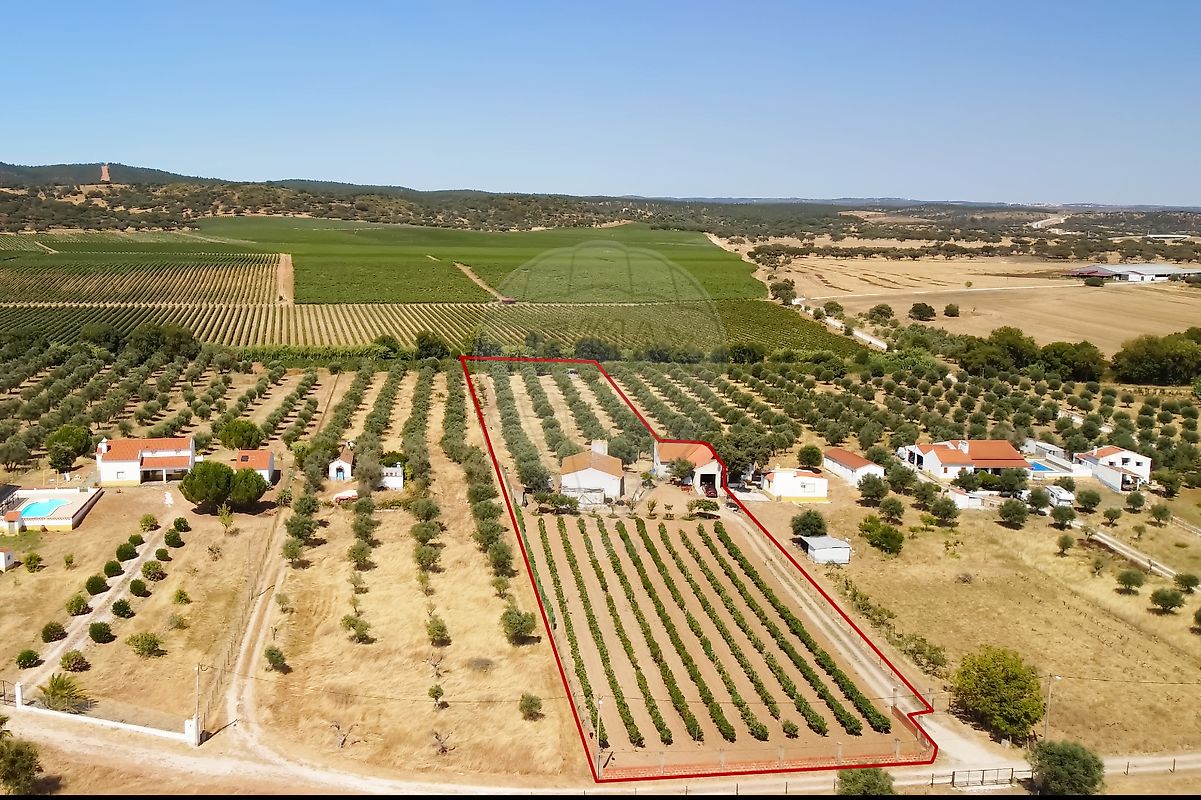 2 غرف نوم منزل في Redondo, Portugal رقم 89195