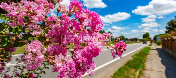 5-salle Maison à Poirino, Italy No. 302426 2