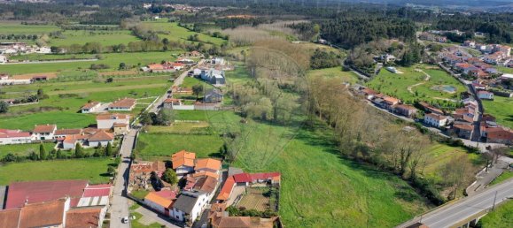 2 Schlafzimmer Haus in Avelas de Caminho, Portugal, Nr. 48525 9