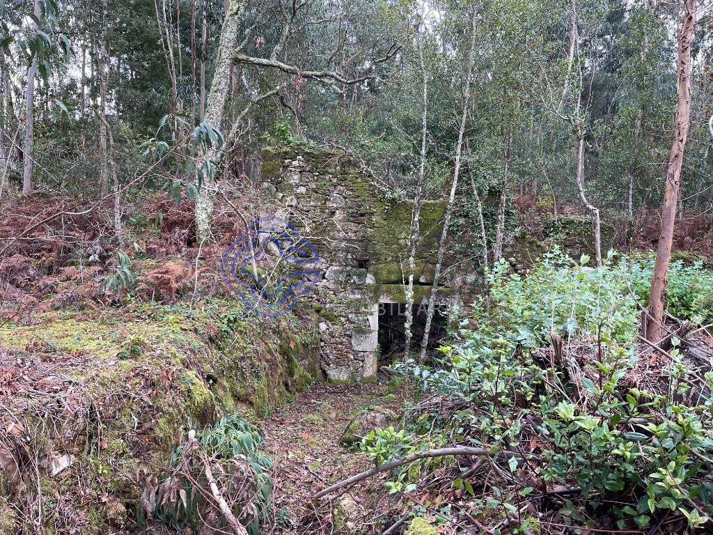 Дом с 3 спальнями в Каминья, Португалия № 87644