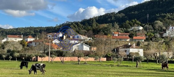 Дом с 3 спальнями в Каминья, Португалия № 87644 10