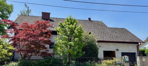 7 rooms House in Baden, Austria No. 154584 6