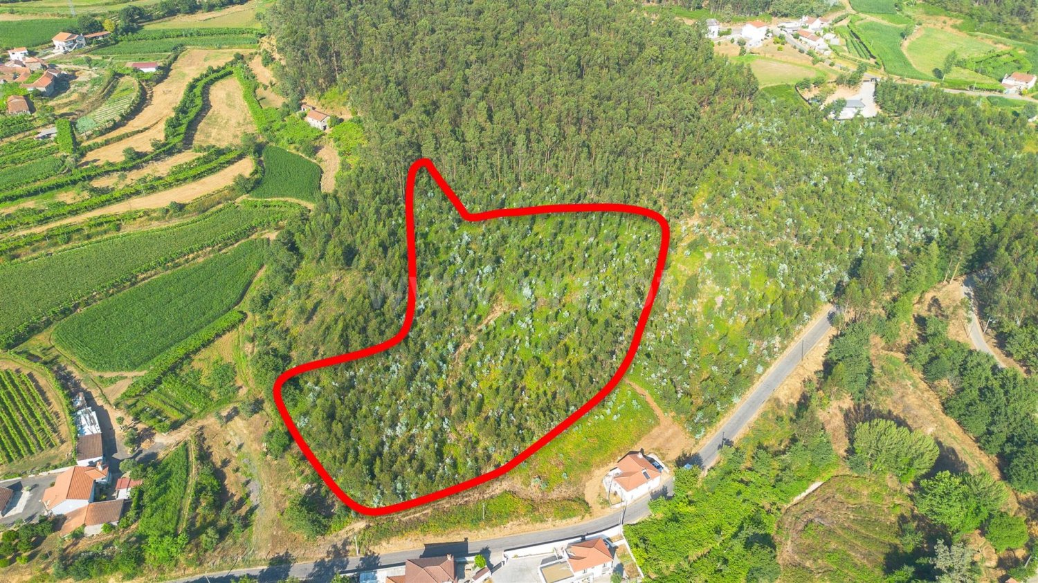  قطعة أرض في Felgueiras, Portugal رقم 255701