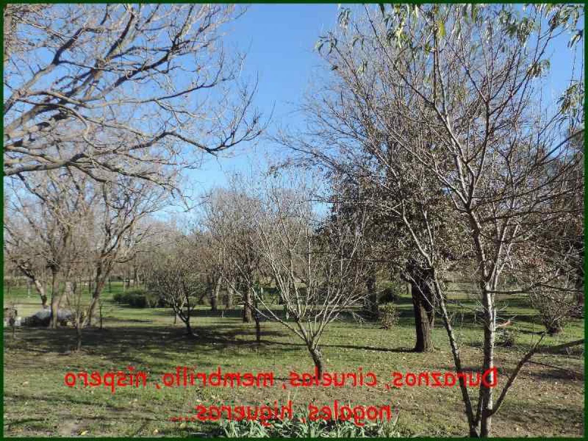 Casa T3 em Cordoba, Argentina N.º 21512