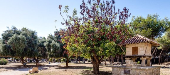 1 غرف نوم شقة في Torrevieja, Spain رقم 179446 32