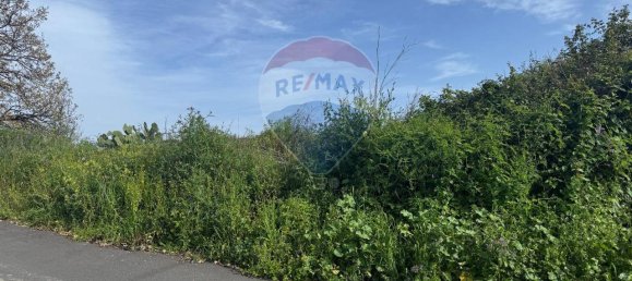 Terreno de 1 divisão em Valverde, Italy N.º 107235 23