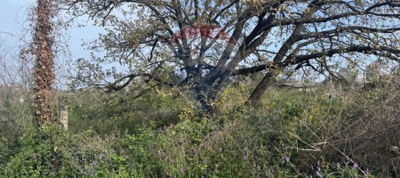 Terreno de 1 divisão em Valverde, Italy N.º 107235 21