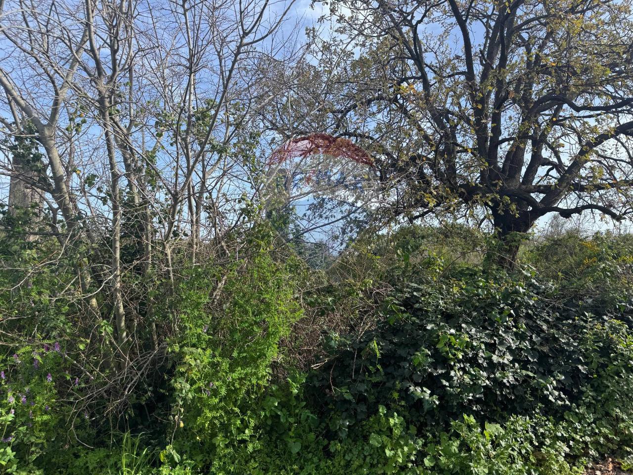 Terreno de 1 divisão em Valverde, Italy N.º 107235