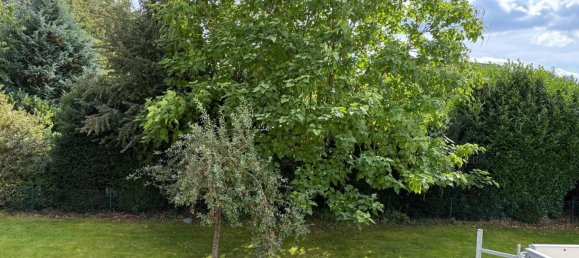 1 chambre Appartement à Diepholz, Germany No. 316104 7