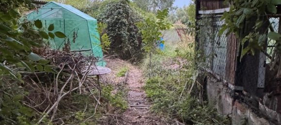 Дом с 2 спальнями в Анхальт-Биттерфельд, Германия № 285270 6