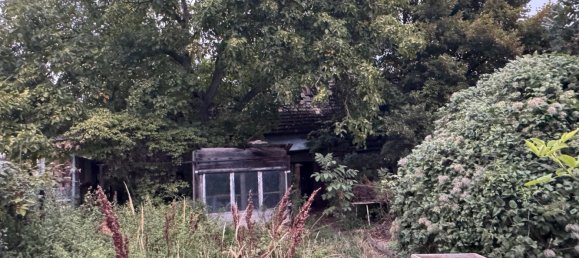 Дом с 2 спальнями в Анхальт-Биттерфельд, Германия № 285270 7