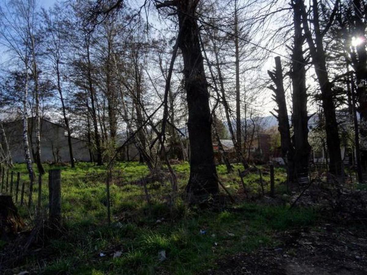  Land in San Carlos de Bariloche, Argentina No. 41330