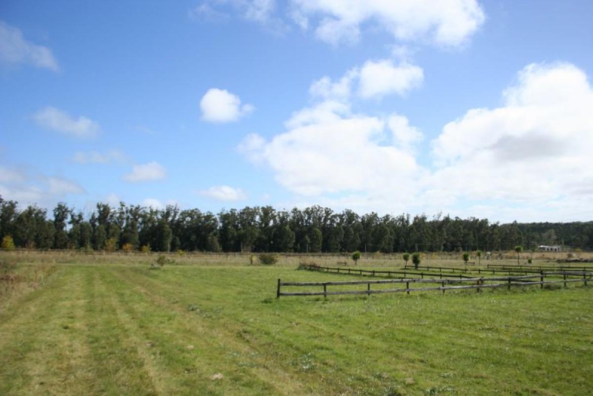  Land in Maldonado, Uruguay No. 14151