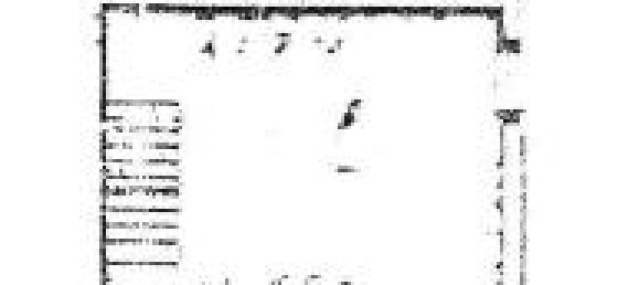 2 rooms House in Udine, Italy No. 23634 22