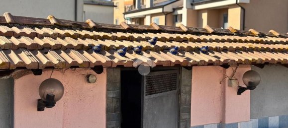 5 chambres Appartement à Tuscania, Italy No. 327244 49