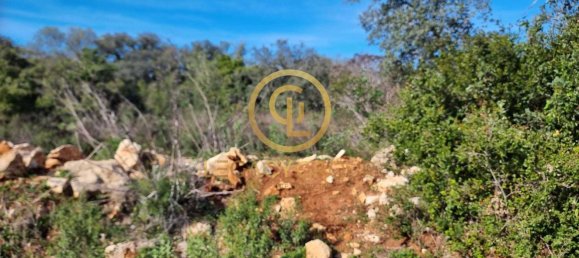  قطعة أرض في Loule, Portugal رقم 190405 2