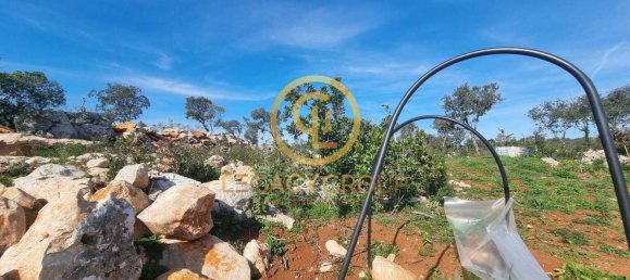  قطعة أرض في Loule, Portugal رقم 190405 12