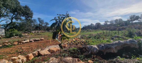  قطعة أرض في Loule, Portugal رقم 190405 11