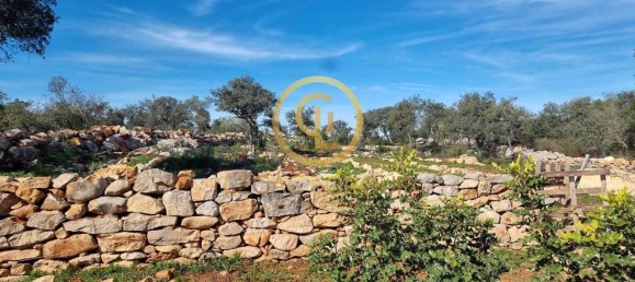  قطعة أرض في Loule, Portugal رقم 190405 8