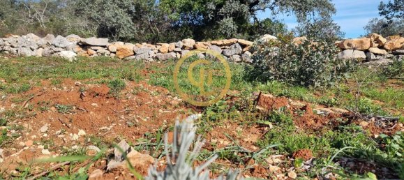  قطعة أرض في Loule, Portugal رقم 190405 10