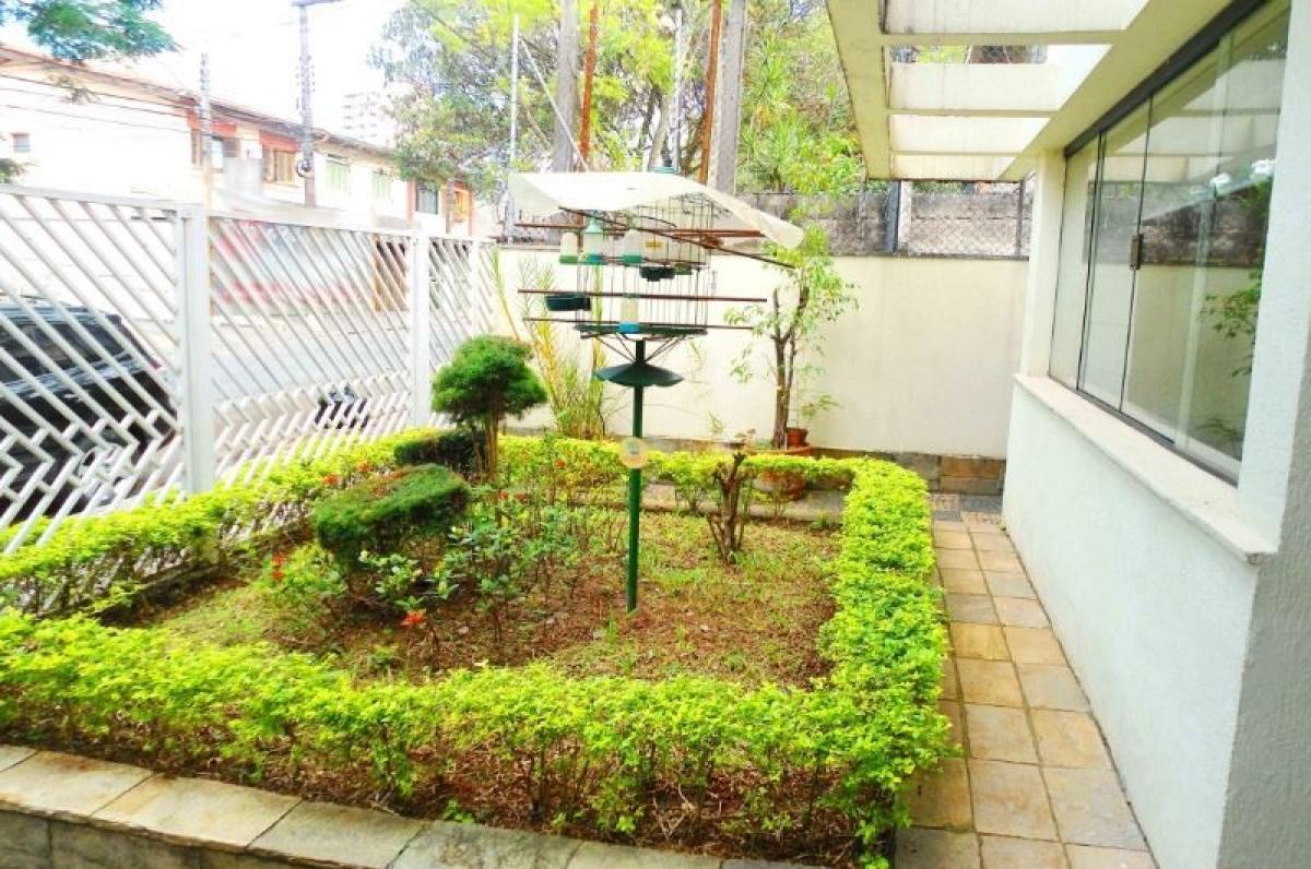 Дом с 3 спальнями в Сан-Паулу, Бразилия № 504694