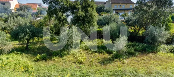 Terreno en Dominguizo, Portugal No. 76971 5