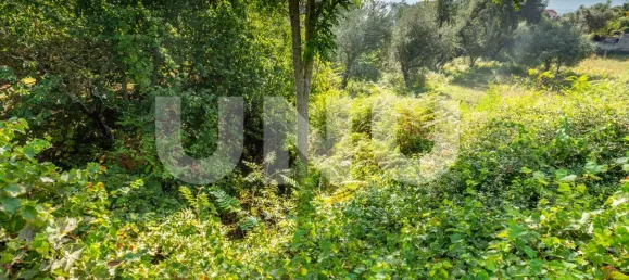 Terreno en Dominguizo, Portugal No. 76971 7